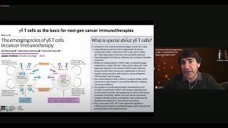 The Importance of GammaDelta T Cells [upl. by Keare]