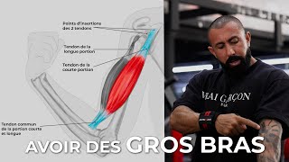 COMMENT AVOIR DE GROS BRAS  BICEPS [upl. by Enirak]