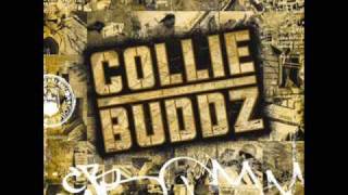 Collie Buddz  Collie Buddz  Come Around HQ [upl. by Adyela502]