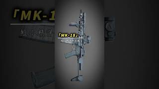 火力全开！MK18的威力有多强？近距离告诉你步枪武器科普 [upl. by Adnalue]