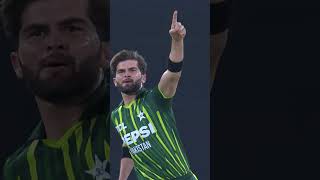 Watch Shaheen Shah Afridi Taken All 8 Wickets vs Kiwis PAKvNZ SportsCentral Shorts PCB M2E2A [upl. by Dietrich]