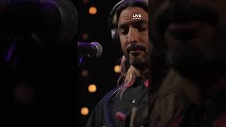 Feist Live on KEXP — OUT NOW [upl. by Aisined]