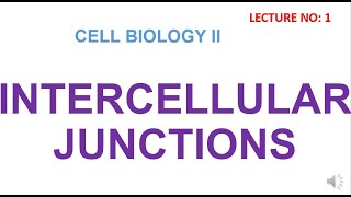 Intercellular Junctions  types of intercellular junctions  cell biology lectures [upl. by Enirrok]