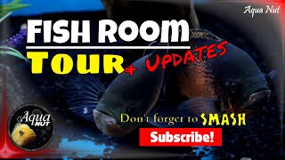 Mini Monster Fish Room Tour 2017 amp Mega Build Aquarium Updates [upl. by Laumas]