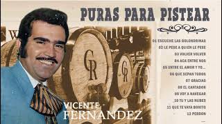 PURAS PARA PISTEAR SELECCIÓNADAS VICENTE FERNÁNDEZ MIX PERRONAS  LO MEJOR DE VICENTE FERNÁNDEZ [upl. by Iggam]