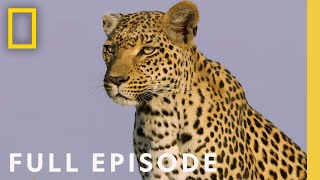 The Flood Full Episode  SPECIAL [upl. by Nauh]