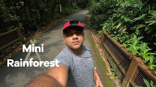 Bukit Timah Nature Reserve [upl. by Acirrej]