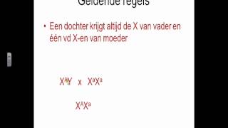 Biologie Uitleg Xchromosomale overerving [upl. by Senilec]