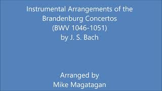 Instrumental Arrangements of the Brandenburg Concertos BWV 10461051 [upl. by Filler]