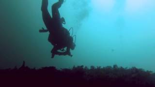 Diving at the Wreck of the Three Brothers Blasket Islands DinglePeninsula Ireland [upl. by Yrot]