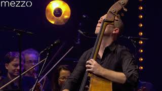 Avishai Cohen Trio  Philharmonie de Paris  Mezzo 25 [upl. by Quent307]