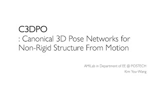 Seminar C3DPO Canonical 3D Pose Networks for NonRigid Structure From Motion [upl. by Cartwright]