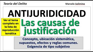 Antijuridicidad Causas de justificación Principios generales [upl. by Llerruj78]