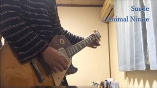 Suede  Animal Nitrate Live ver【Guitar Cover】 [upl. by Trebuh]