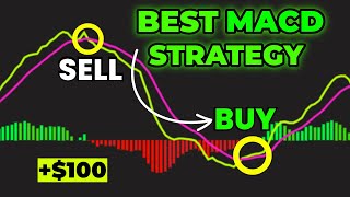 The Only MACD Indicator Strategy That You Should Know Must Know [upl. by Ellinger63]