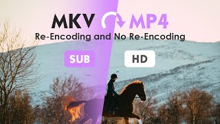 How to Convert MKV to MP4 withwithout Reencoding  on Windows amp Mac [upl. by Cammie]