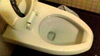 200th Video  Urinal in a Stall WA [upl. by Ofella]