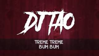 DJ TAO ✖ TREME TREME ✖ BUM BUM [upl. by Aiyn]