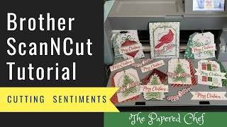 Brother ScanNCut Tips amp Tricks  Cutting Stamped Sentiments  Tag Buffet by Stampin’ Up [upl. by Sama]