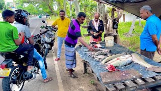 Best Sri Lankan Traditional Villages Busiest Roads Fishmarket Live [upl. by Anahsat]