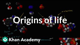 Origins of life  Biology  Khan Academy [upl. by Gelb465]