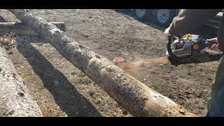 Chainsaw log debarker from HudSon Forest Equipment mechanical log peeling [upl. by Ciccia]