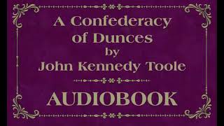 A Confederacy of Dunces AUDIOBOOK John Kennedy Toole part 2 of 2 HUMAN VOICE [upl. by Bloomer]