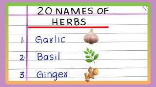 Name of HERBS  in English  5  10  20 Names of HERBS  HERBS PLANT Names [upl. by Abram]