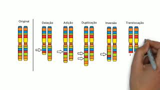 Alterações cromossômicas humanas  quotE aí vamos resolver juntos [upl. by Bradleigh742]