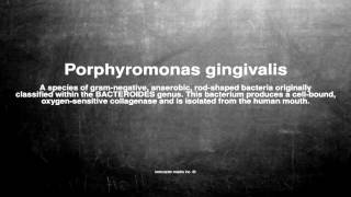 Medical vocabulary What does Porphyromonas gingivalis mean [upl. by Airetnahs974]