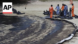 Cleanup operation after oil spill blackens part of Singapore coastline [upl. by Adnahsor]