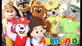 Paw Patrol Latino  Show Infantil [upl. by Miksen]