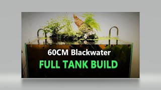 How to build a 60CM Blackwater Aquarium [upl. by Annice116]