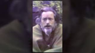 Alan Watts Are YOU The Center of The Universe [upl. by Ynahirb]