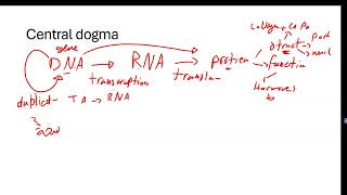 GENETICS 1  Introduction  DNA structure [upl. by Eizus]