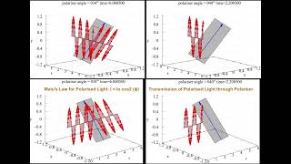 Polarisation of Light Malus Law [upl. by Dambro263]