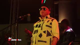 SALIF KEITA Concert LIVE 31 Décembre 2019 à Conakry [upl. by Seaver264]