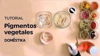 TUTORIAL Teñido Textil  Pigmentos Vegetales  Anabel Torres  Domestika [upl. by Anoyk]