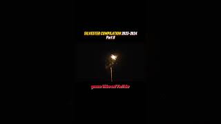 SILVESTER COMPILATION 20232024🧨  Part 8 [upl. by Prissy]