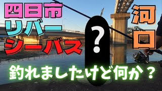 【シーバス】四日市の河口でリバーシーバス！ [upl. by Lledo909]