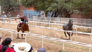 El Moro Lomo Libre Vs El Conchito Carril El Alacran 🦂 QRO [upl. by Lleral504]