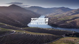 Portuguese Wine Tourism [upl. by Nasho]