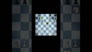 CAPABLANCA chess chesstime chessgame chesspiece chesscom chessmaster Chessclip chesslove [upl. by Naryt132]