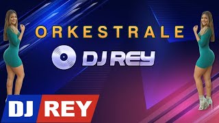 Super Orkestrale Sharki  Remix by Deejay Rey 2022 [upl. by Kelleher]