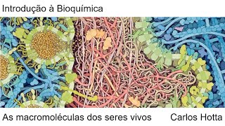 As macromoléculas dos seres vivos [upl. by Deyes939]