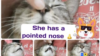 She has a pointed nose muimui smartmeow [upl. by Moselle]