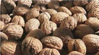 Gardening From Seeds  How to Plant a Walnut Seed [upl. by Carmon126]