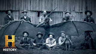 The UnXplained Pterodactyl Creature Spotted in 1800s Arizona Season 4 [upl. by Amehr710]