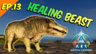 Taming the Healing Beast Daeodon Guide in Ark Ascended  arkascended arksurvivalevolved [upl. by Zashin]