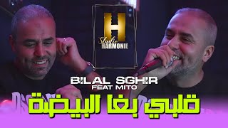 Bilal Sghir 2024 Galbi Bgha El Bayda 100liveڨلبي بغى البيضاء [upl. by Llednyl963]